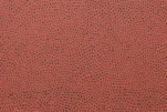 DSC1304