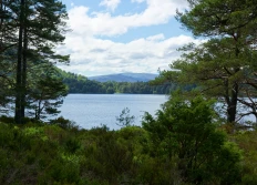 An Loch an Eilean
