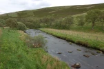 DSC 1655