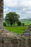 DSC 1691