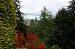 DSC 1760
